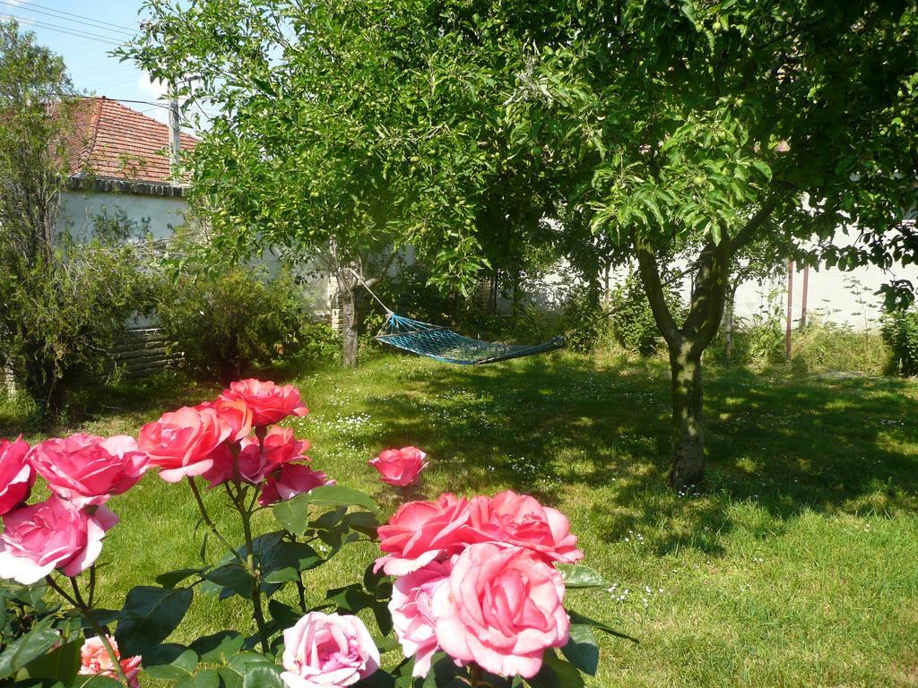 Guest House Tisza Haz Senta Экстерьер фото