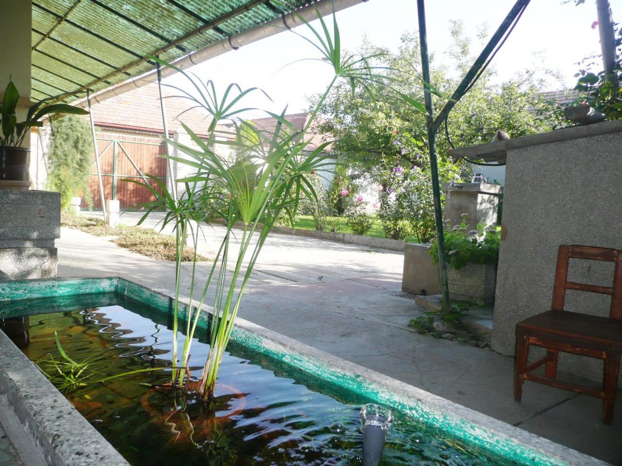 Guest House Tisza Haz Senta Экстерьер фото
